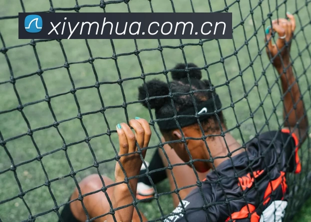 App Interface Preview